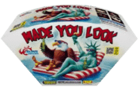 MADE YOU LOOK SUNS