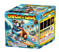 CATCH A WAVE 16 SHOT MIRACLE
