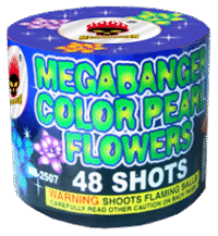 48 SHOT COLOR PEARL FLOWERS MEGABANGER