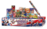 AMERICA PARTY SUNS