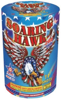 SOARING HAWK 11 SHOT STARGET